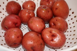 Washed Red Potatoes